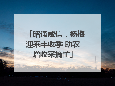 昭通威信：杨梅迎来丰收季 助农增收采摘忙