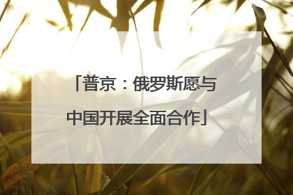 普京：俄罗斯愿与中国开展全面合作