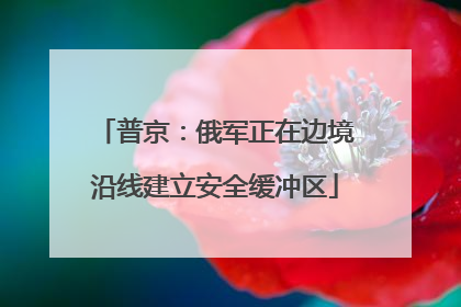 普京：俄军正在边境沿线建立安全缓冲区