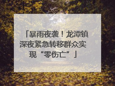 暴雨夜袭！龙潭镇深夜紧急转移群众实现“零伤亡”