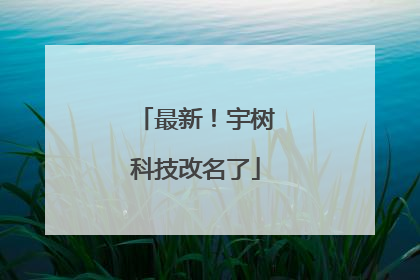 最新！宇树科技改名了