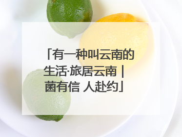 有一种叫云南的生活·旅居云南｜菌有信 人赴约