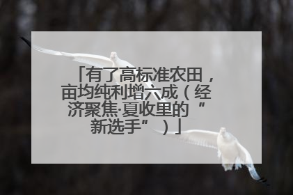 有了高标准农田，亩均纯利增六成（经济聚焦·夏收里的“新选手”）