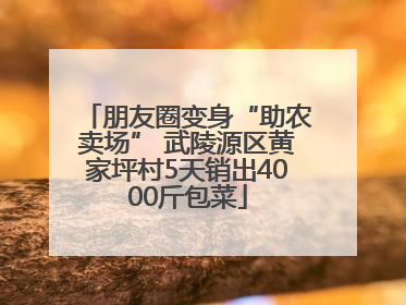 朋友圈变身“助农卖场” 武陵源区黄家坪村5天销出4000斤包菜