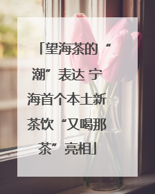 望海茶的“潮”表达 宁海首个本土新茶饮“又喝那茶”亮相