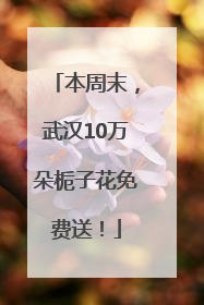 本周末，武汉10万朵栀子花免费送！