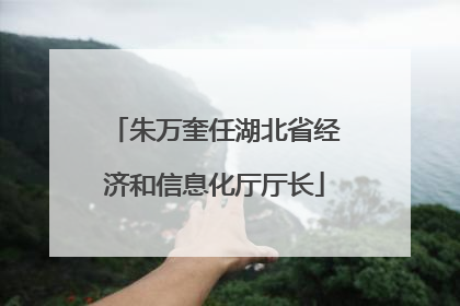 朱万奎任湖北省经济和信息化厅厅长