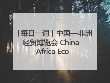 每日一词｜中国—非洲经贸博览会 China-Africa Economic and Trade Expo
