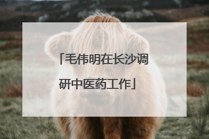 毛伟明在长沙调研中医药工作