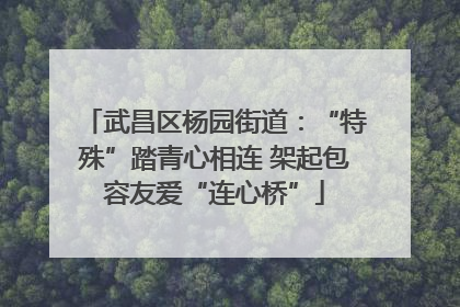 武昌区杨园街道：“特殊”踏青心相连 架起包容友爱“连心桥”
