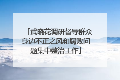武晓花调研督导群众身边不正之风和腐败问题集中整治工作