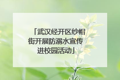 武汉经开区纱帽街开展防溺水宣传进校园活动