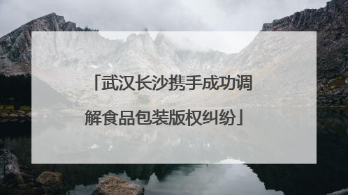 武汉长沙携手成功调解食品包装版权纠纷