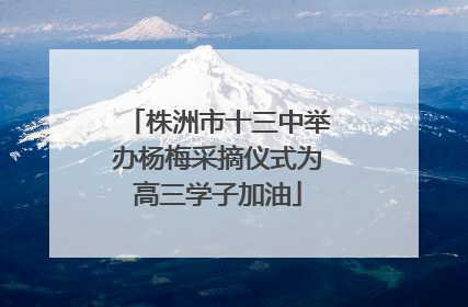 株洲市十三中举办杨梅采摘仪式为高三学子加油