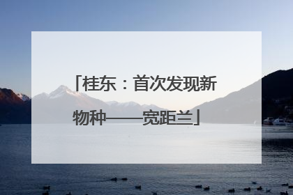 桂东：首次发现新物种——宽距兰