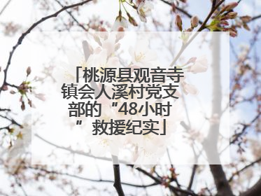 桃源县观音寺镇会人溪村党支部的“48小时”救援纪实