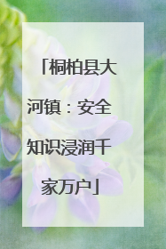 桐柏县大河镇：安全知识浸润千家万户