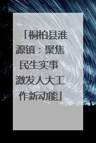 桐柏县淮源镇：聚焦民生实事 激发人大工作新动能