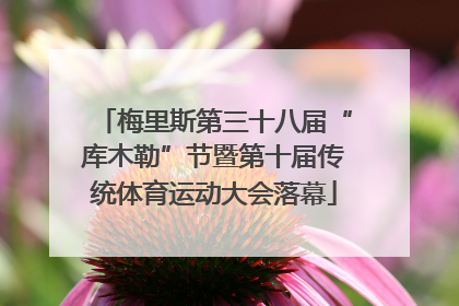 梅里斯第三十八届“库木勒”节暨第十届传统体育运动大会落幕