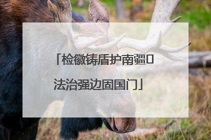检徽铸盾护南疆 法治强边固国门