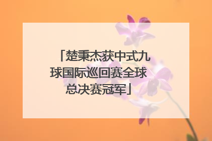 楚秉杰获中式九球国际巡回赛全球总决赛冠军