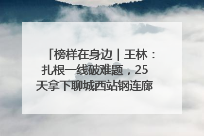 榜样在身边｜王林：扎根一线破难题，25天拿下聊城西站钢连廊“硬核”工程