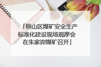 横山区煤矿安全生产标准化建设现场观摩会在朱家峁煤矿召开