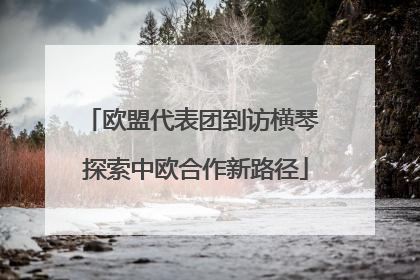 欧盟代表团到访横琴 探索中欧合作新路径