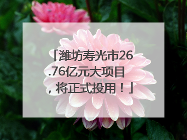 潍坊寿光市26.76亿元大项目，将正式投用！