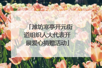 潍坊寒亭开元街道组织人大代表开展爱心捐赠活动