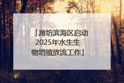 潍坊滨海区启动2025年水生生物增殖放流工作