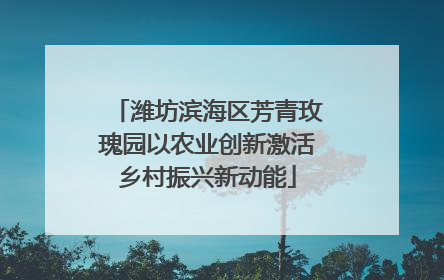 潍坊滨海区芳青玫瑰园以农业创新激活乡村振兴新动能