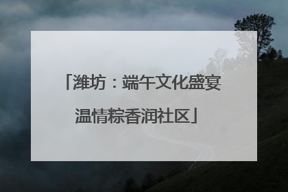 潍坊：端午文化盛宴 温情粽香润社区