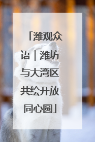 潍观众语｜潍坊与大湾区共绘开放同心圆