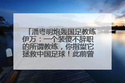 潘粤明炮轰国足教练伊万：一个装傻不辞职的所谓教练，你指望它拯救中国足球！此前曾多次发文评价国足