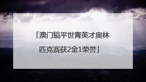 澳门镜平世青英才奥林匹克赛获2金1荣誉