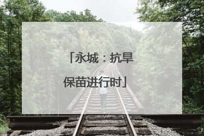 永城：抗旱保苗进行时