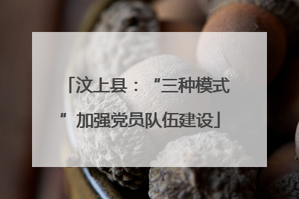 汶上县：“三种模式”加强党员队伍建设