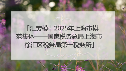 汇劳模｜2025年上海市模范集体——国家税务总局上海市徐汇区税务局第一税务所
