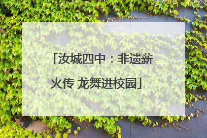 汝城四中：非遗薪火传 龙舞进校园