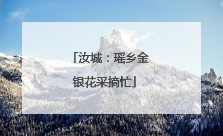 汝城：瑶乡金银花采摘忙