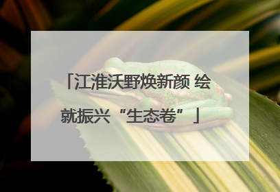 江淮沃野焕新颜 绘就振兴“生态卷”