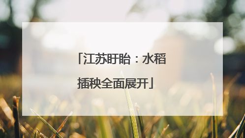 江苏盱眙：水稻插秧全面展开