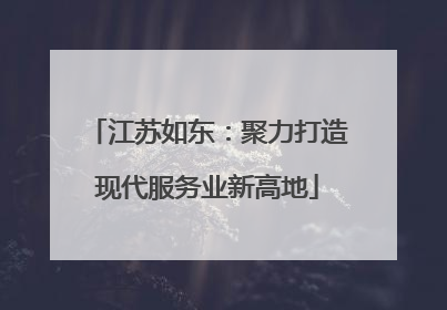 江苏如东：聚力打造现代服务业新高地