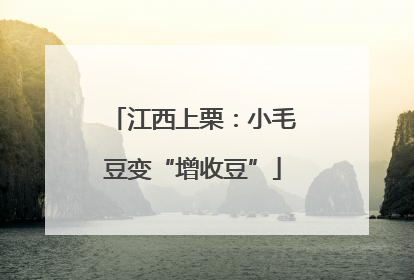 江西上栗：小毛豆变“增收豆”