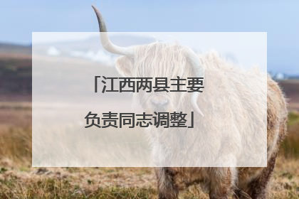 江西两县主要负责同志调整