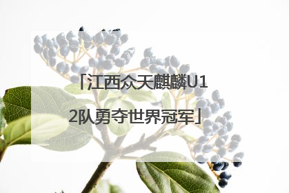 江西众天麒麟U12队勇夺世界冠军