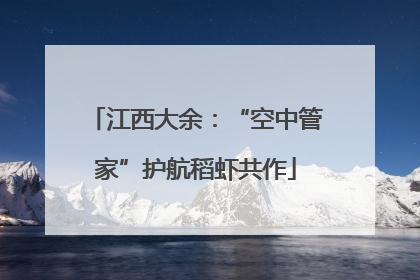 江西大余：“空中管家”护航稻虾共作
