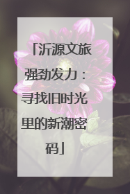 沂源文旅强劲发力：寻找旧时光里的新潮密码