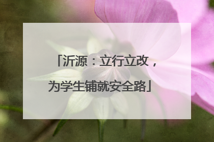 沂源：立行立改，为学生铺就安全路
